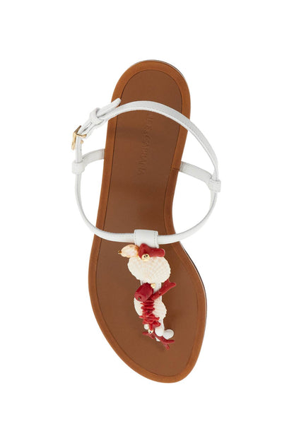 D&amp;G nappa flip-flops with coral